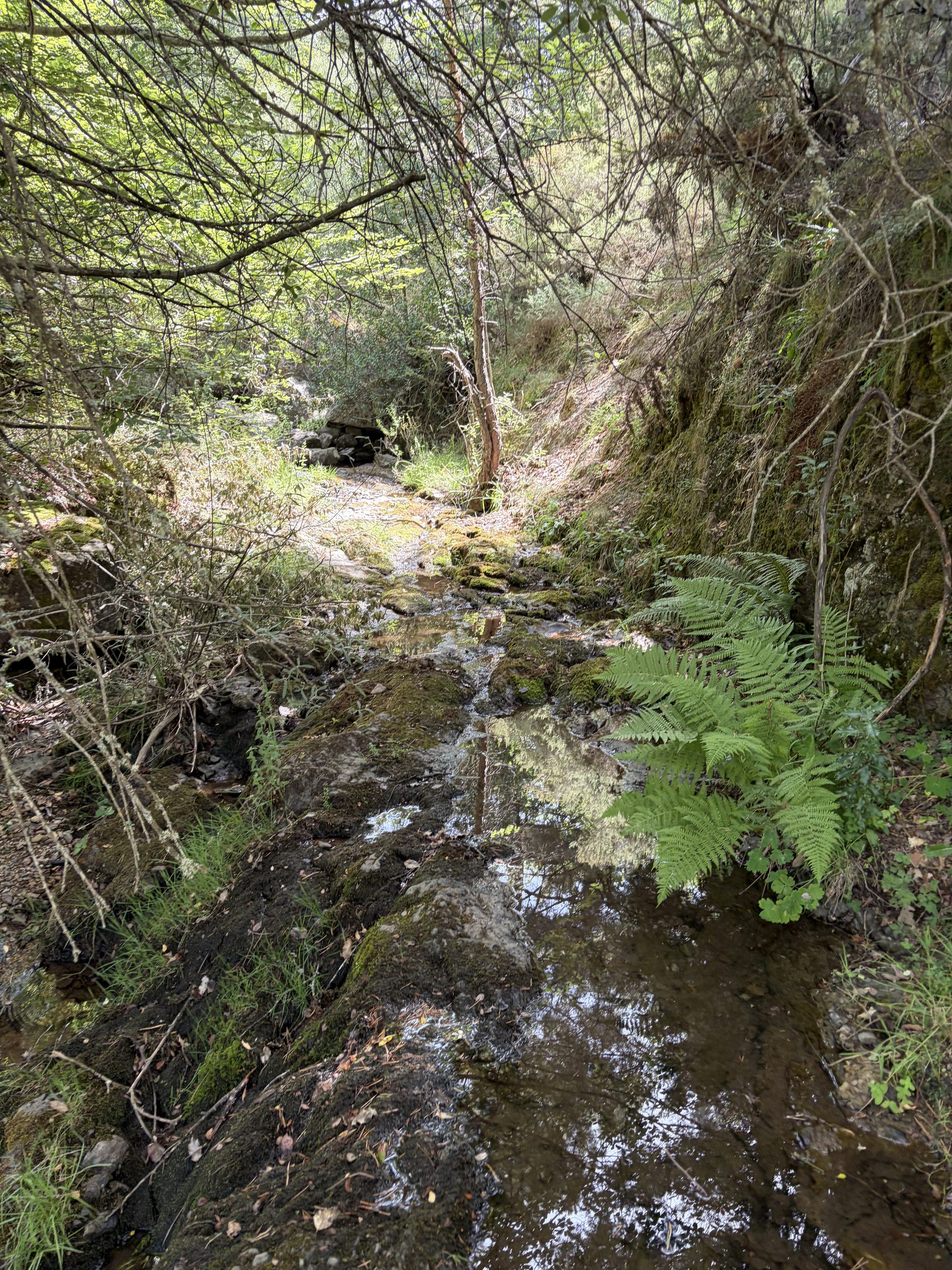 Pozas del Arroyo de la Aldea - foto 3
