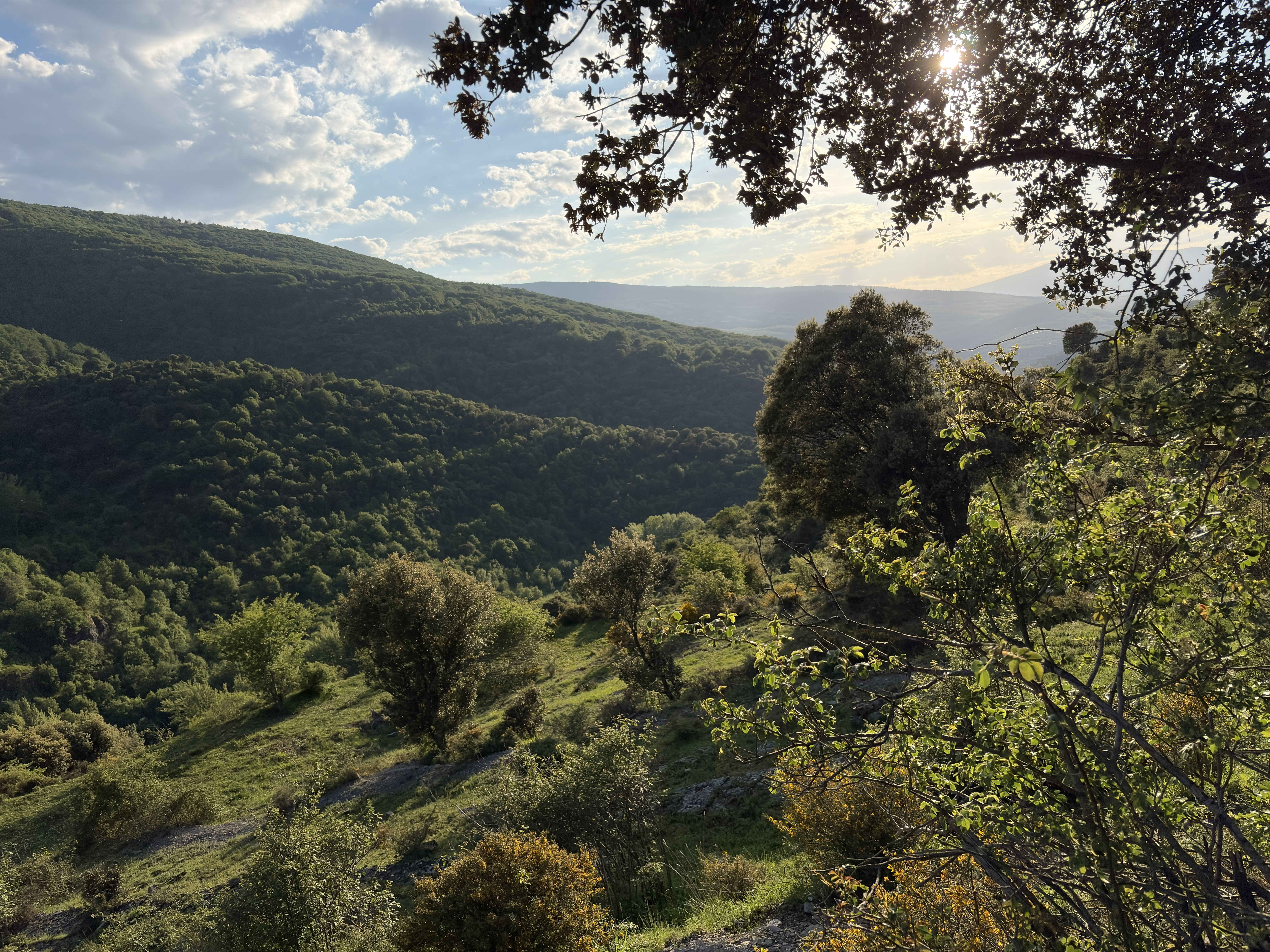 Paisaje natural de Aldeanueva de Cameros